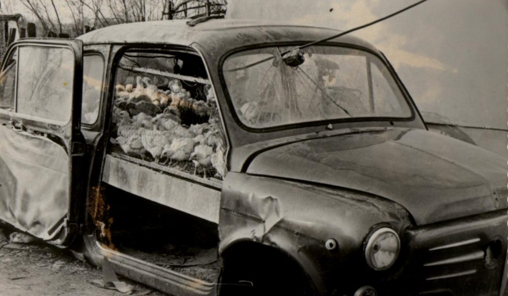 Ima neke ironije u tome što su mnoge Zastave postale kokošinjci...